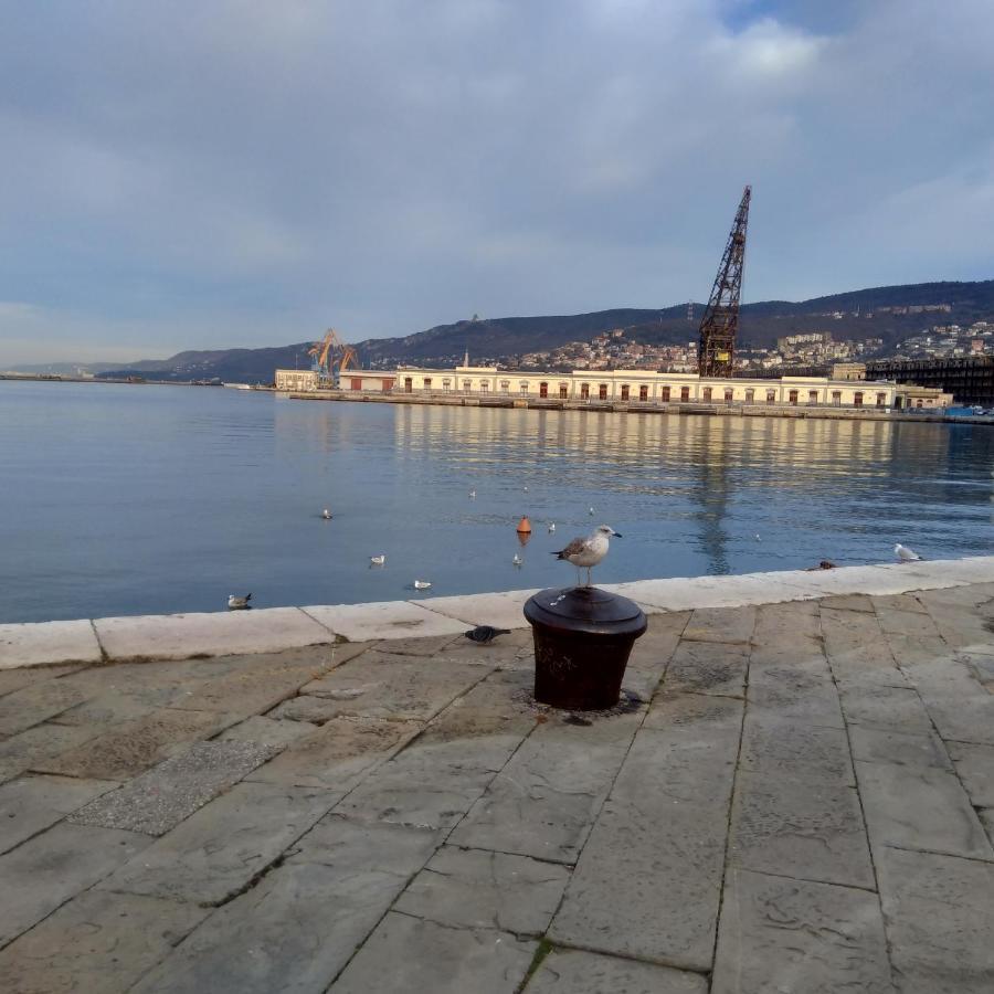 Casa Antica - Historical Apartment In Old City Center Триест Екстериор снимка